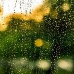 Bài văn tả cơn mưa - Ảnh 1