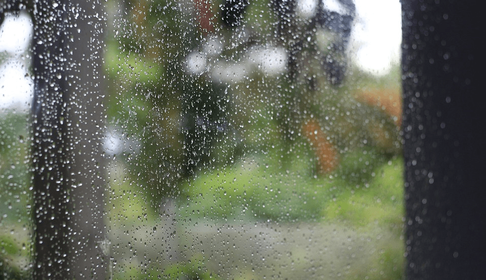Bài văn tả cơn mưa - Những bài văn mẫu hay nhất